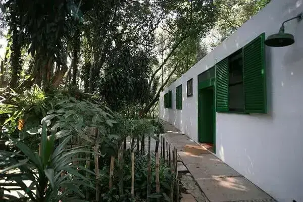 Lina Bo Bardi: Casa de Vidro (vegetação)