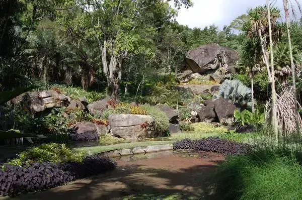 Roberto Burle Marx: Sítio em Guaratiba