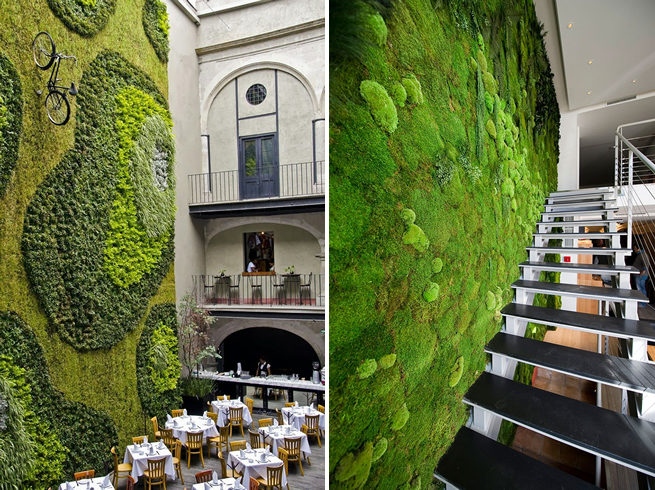 tendencias-europeias-em-jardins-verticais-musgo-moss