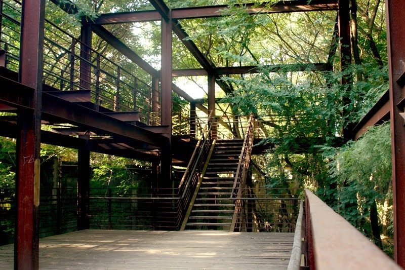 paisagistas-brasileiros-rosa-kliass-parque-da-juventude