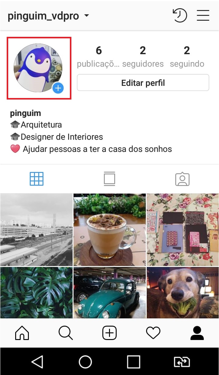 como-usar-instagram-fazendo-uma-live