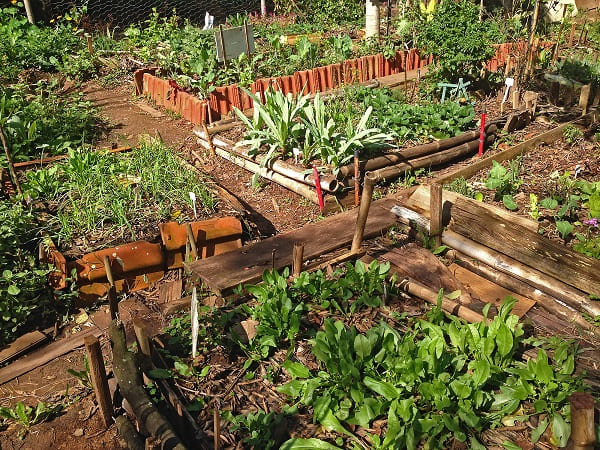 Hortas Urbanas: canteiro de madeira com lajes