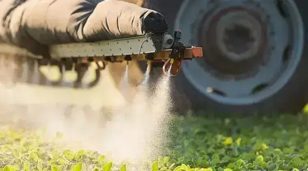 Hortas Urbanas evitam o consumo de vegetais com agrotóxicos