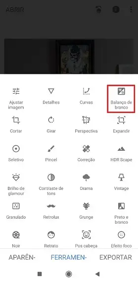 Snapseed: balanço de branco