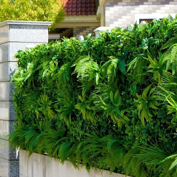 Muro Verde Como Fazer Plantas Usadas 22 Exemplos Perfeitos Muro Verde Como Fazer Plantas Usadas 22 Exemplos Perfeitos