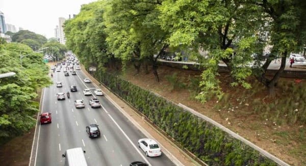 Muro verde em avenida (foto: R7)