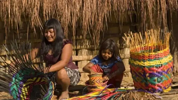 Artesanato Brasileiro: aldeia guarani em São Roque produzindo cestas (foto: Jornal Cruzeiro do Sul) Artesanato Brasileiro: aldeia guarani em São Roque produzindo cestas (foto: Jornal Cruzeiro do Sul)