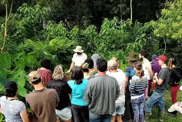 A prática da agroecologia e da permacultura são estimuladas dentro das comunidades de ecovila