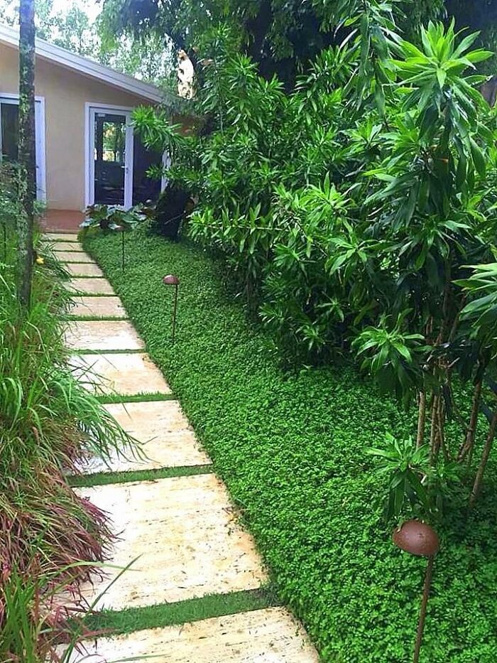 Pisante para jardim feito com pedras e grama. Projeto de Daniel Nunes Paisagismo