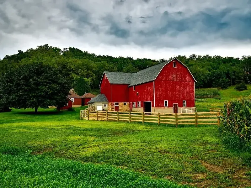 Atividades sobre paisagem rural e urbana: espaços verdes com árvores, plantações, criação de animais são alguns dos elementos que compõem a paisagem rural. Fonte: Pixabay