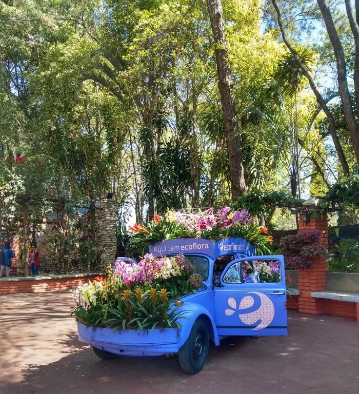 Flores e plantas ornamentais cultivadas por mais de 450 produtores