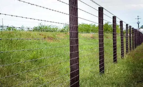 Cerca de arame farpado foto Telas Guará