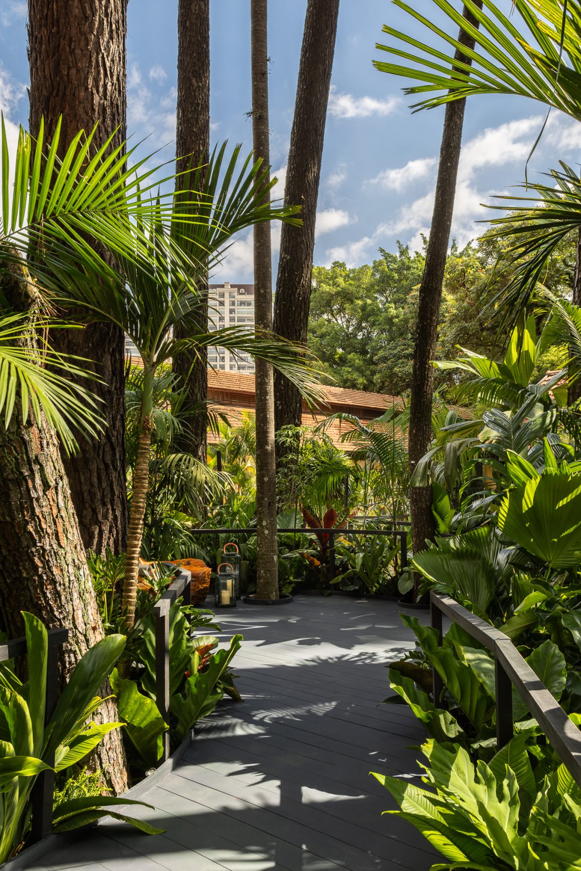 02 – JARDIM PAULISTANO – ISRAEL GOLLINO-5