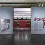 Exposição de Monet no MASP traz experiência sensorial com tons da Coral