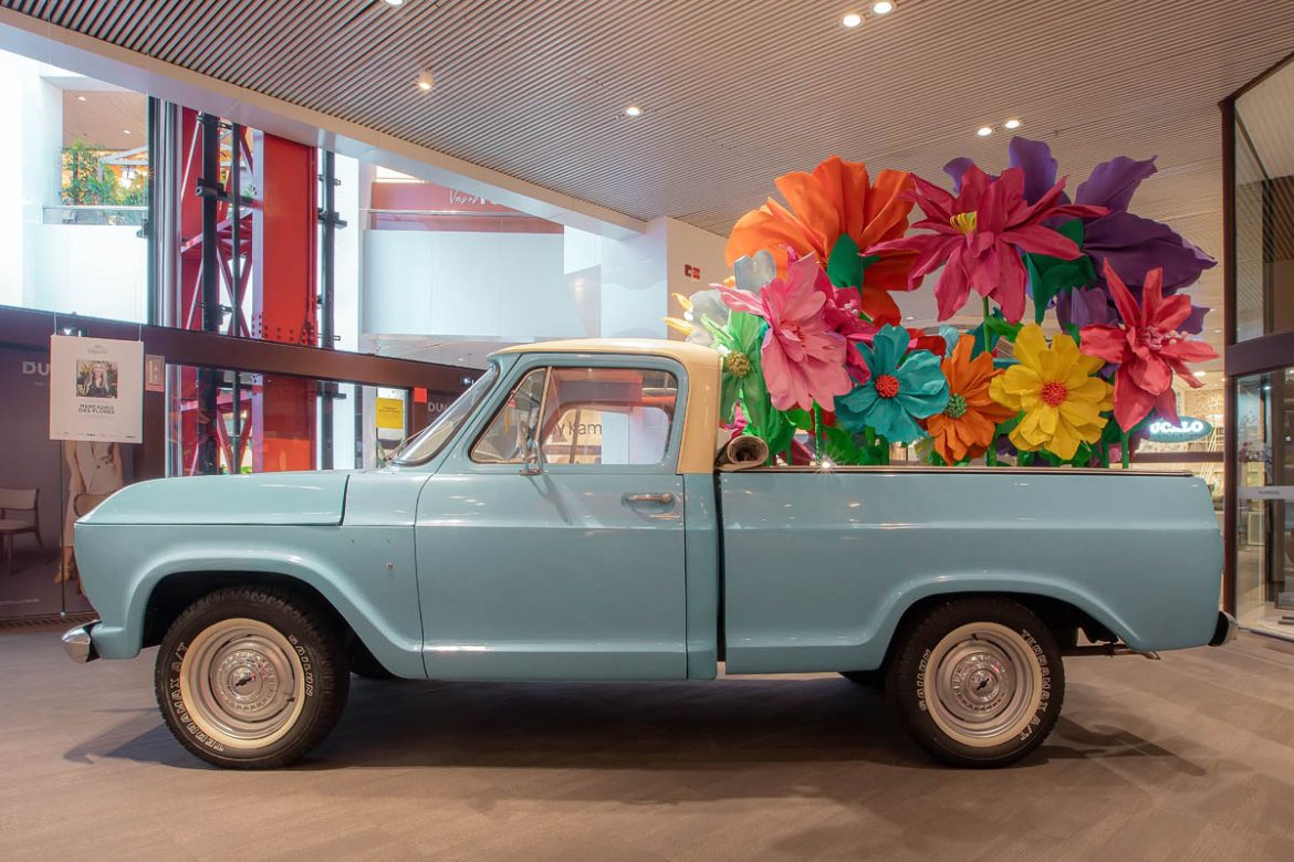 Fotógrafo: Fabio Zanzeri - @zanzeri | MERCADAO DAS FLORES