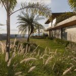 Julio Sousa ensina: dicas de paisagismo para bem-estar no clima seco