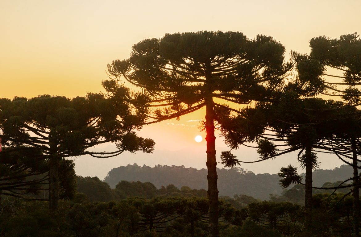 ensaio-em-campos-194 (1)