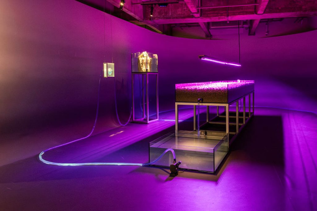 Instalação “Sans room”, da artista Shiori Watanabe Créditos: Marina Melchers
