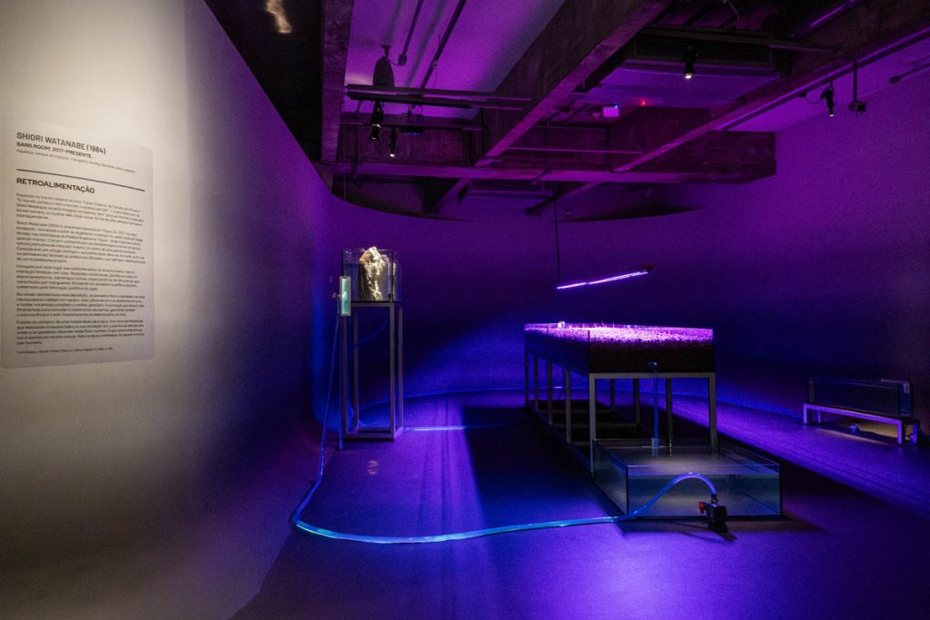 Instalação “Sans room”, da artista Shiori Watanabe Créditos: Marina Melchers
