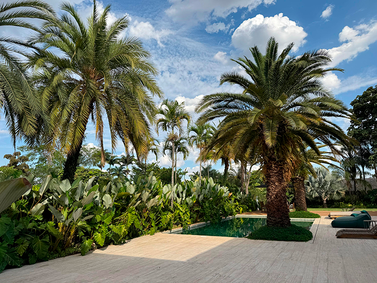 Projeto de arquitetura: Denise Zuba Arquitetos|Ao fundo da piscina há um jardim tropical denso que foi executado especialmente para uma moradora apaixonada por plantas. O verde das espécies contribui para uma paisagem mais natural em meio ao piso de travertino e o deck de madeira.