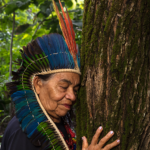 Roca patrocina SP-Arte 2026 e sedia exposição “Encantadas” no São Paulo Gallery
