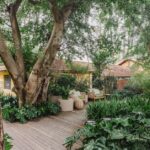 CASACOR SP: Clareira na Mata, o jardim que honra a história do Parque da Água Branca