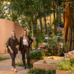 Jardim Respiro na CASACOR SP 2026: Um Oásis de Biodiversidade e Conexão com a Natureza
