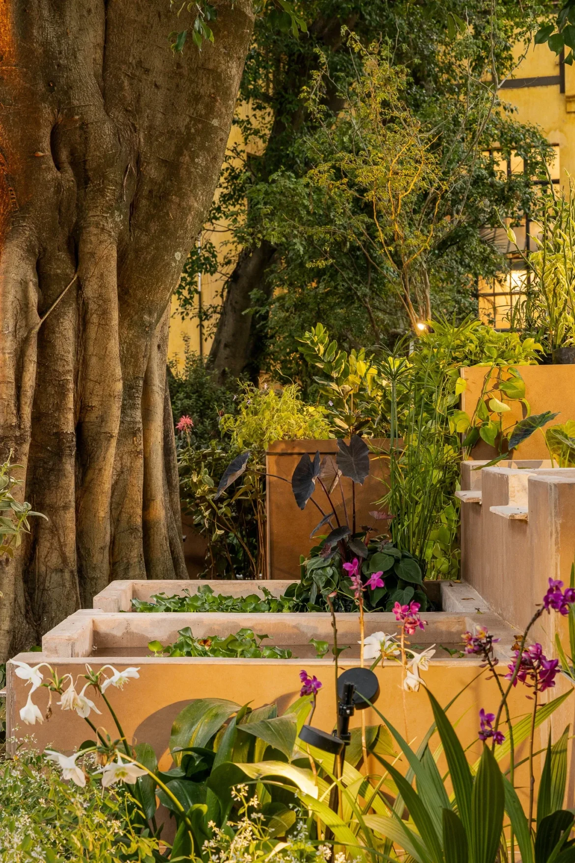 Plantas que cabem no bolso: espécies acessíveis da CASACOR inspiram jardins para todos os bolsos