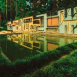 Roberto Burle Marx: o legado da água no paisagismo brasileiro