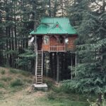 Casa na árvore: origens, características e dicas para planejar a sua