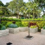 Como levar árvores frutíferas para o paisagismo residencial
