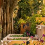 Plantas que cabem no bolso: espécies acessíveis da CASACOR inspiram jardins para todos os bolsos
