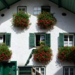 Tons de verde: como usar +10 ideias para decorar a sua casa