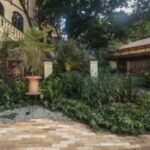 Veja como ampliar a biodiversidade no seu jardim